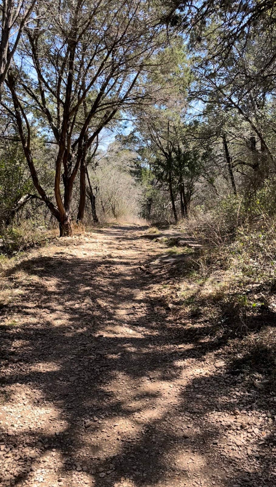 Nature Scavenger Hunt