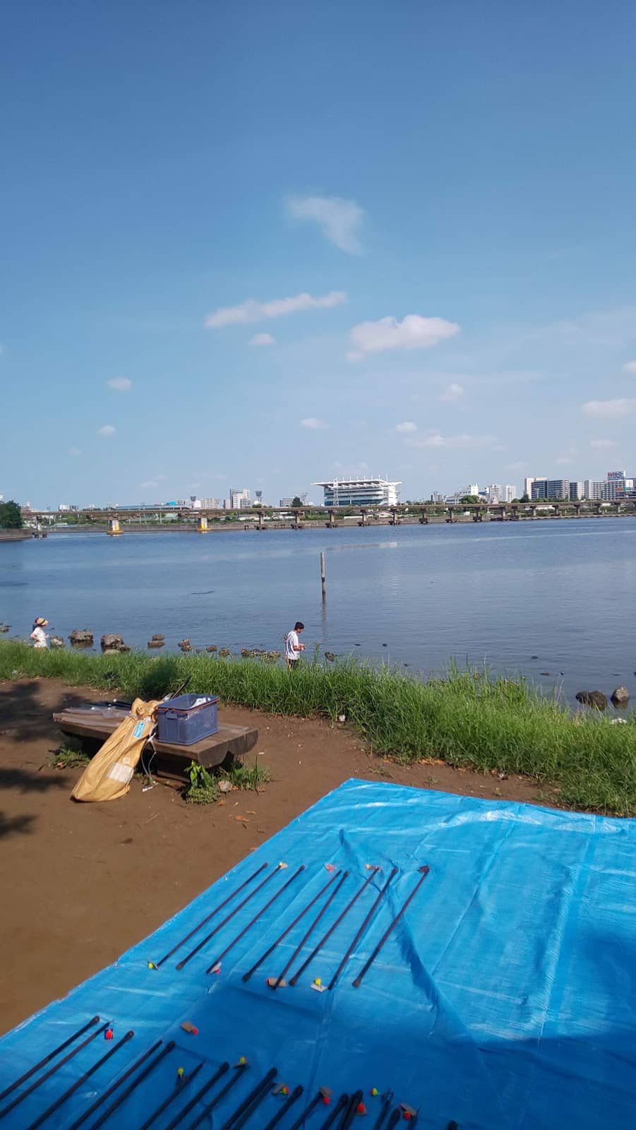 Local Japanese Market Experience