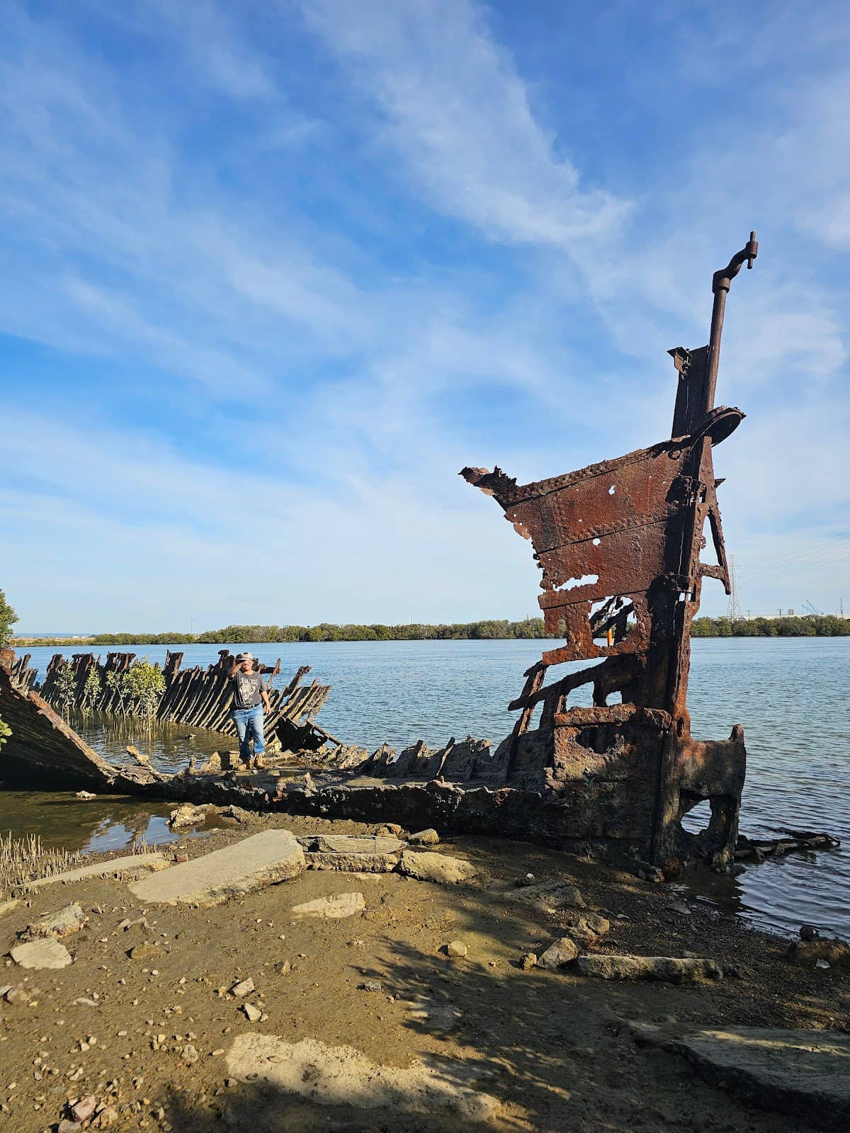 Mangrove Exploration
