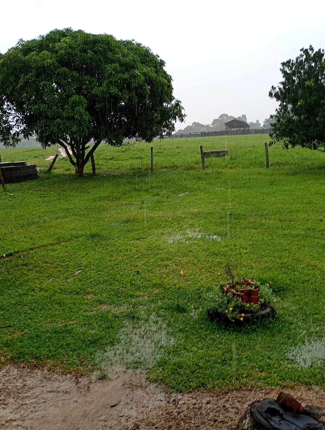 Chico Mendes Extractive Reserve - Image 1