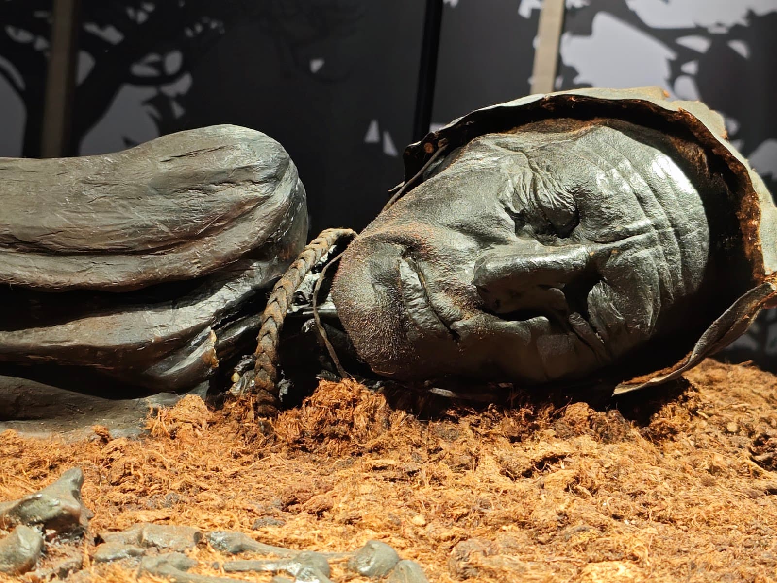 Tollund Man Find Site (Bjældskovdal Bog) - Image 1