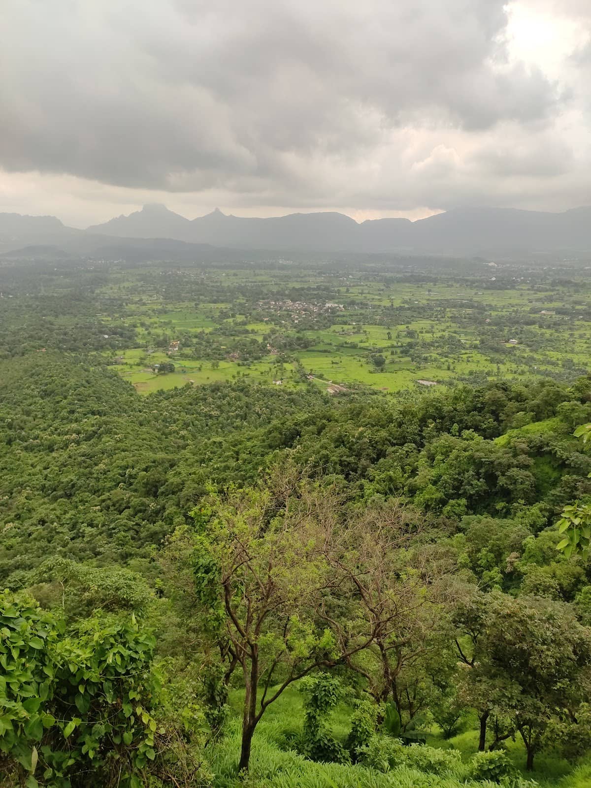 Scenic Trekking Trails