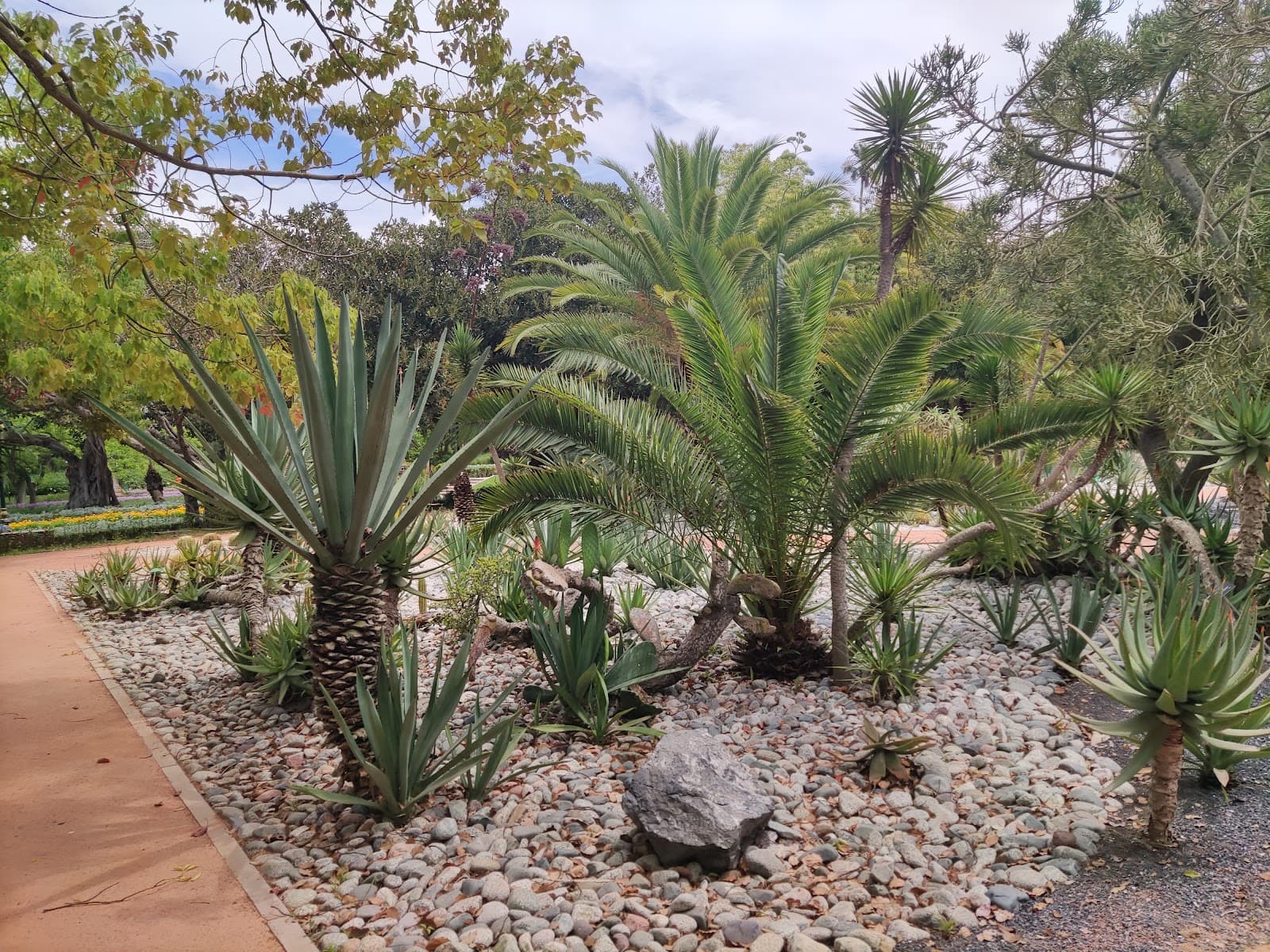 Jardin d'Essais Botaniques - Image 1