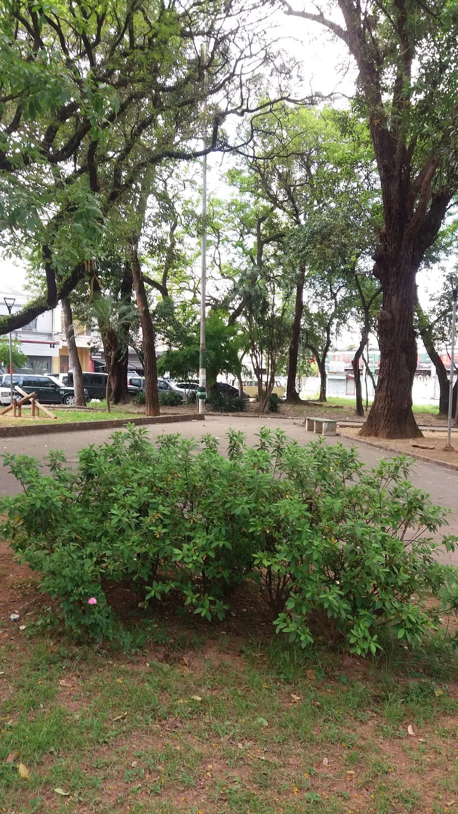 Praça Antônio Menck Osasco - Image 1