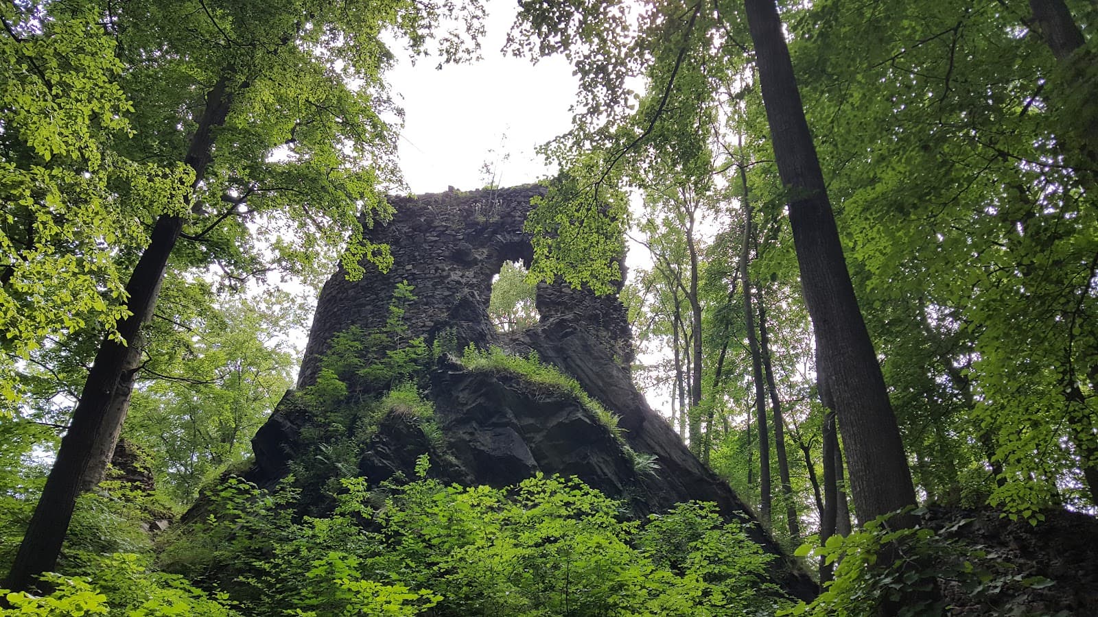 Hamrštejn Castle Ruin - Image 1