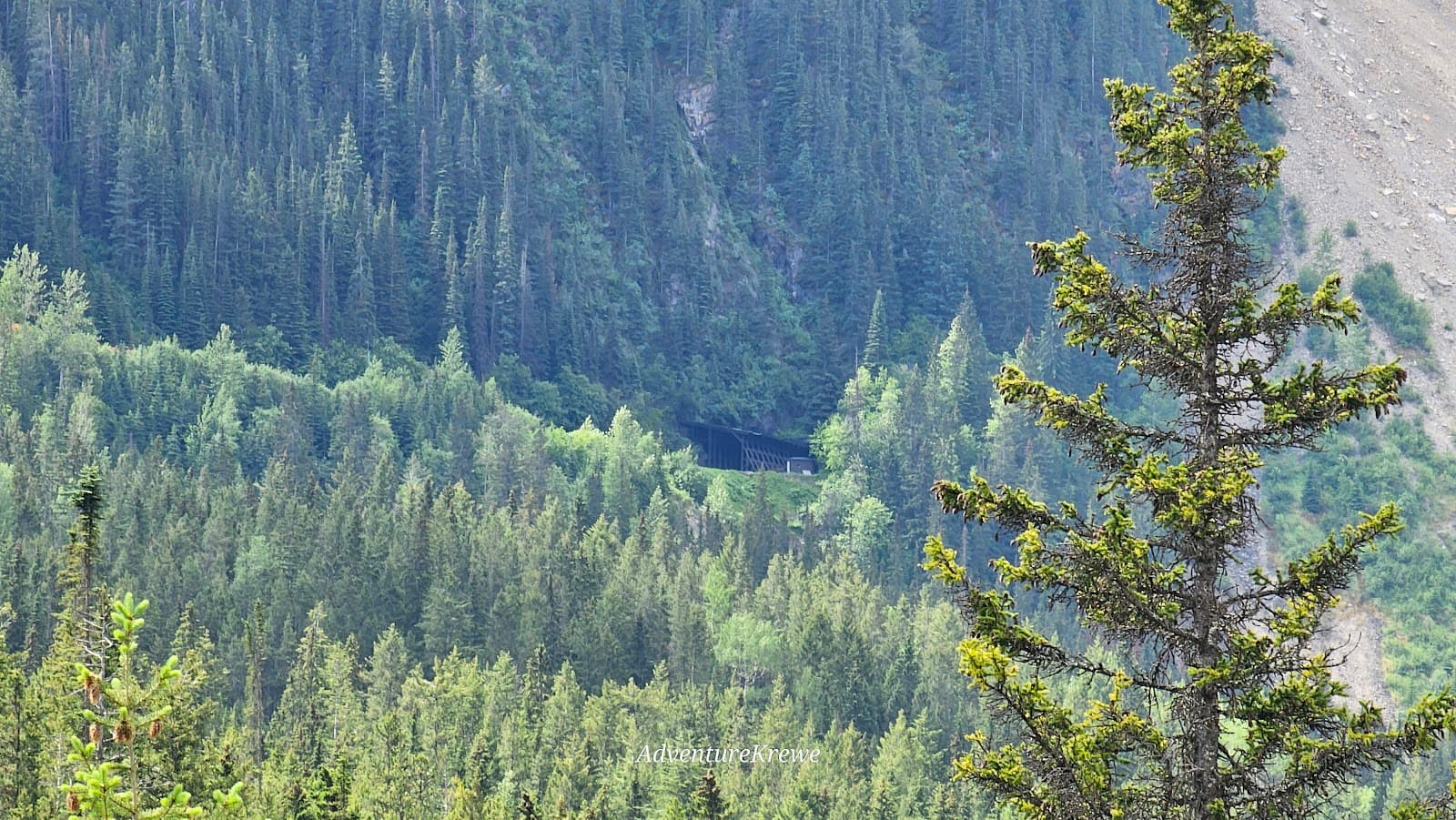 Spiral Tunnels Viewpoint Yoho National Park - Image 1