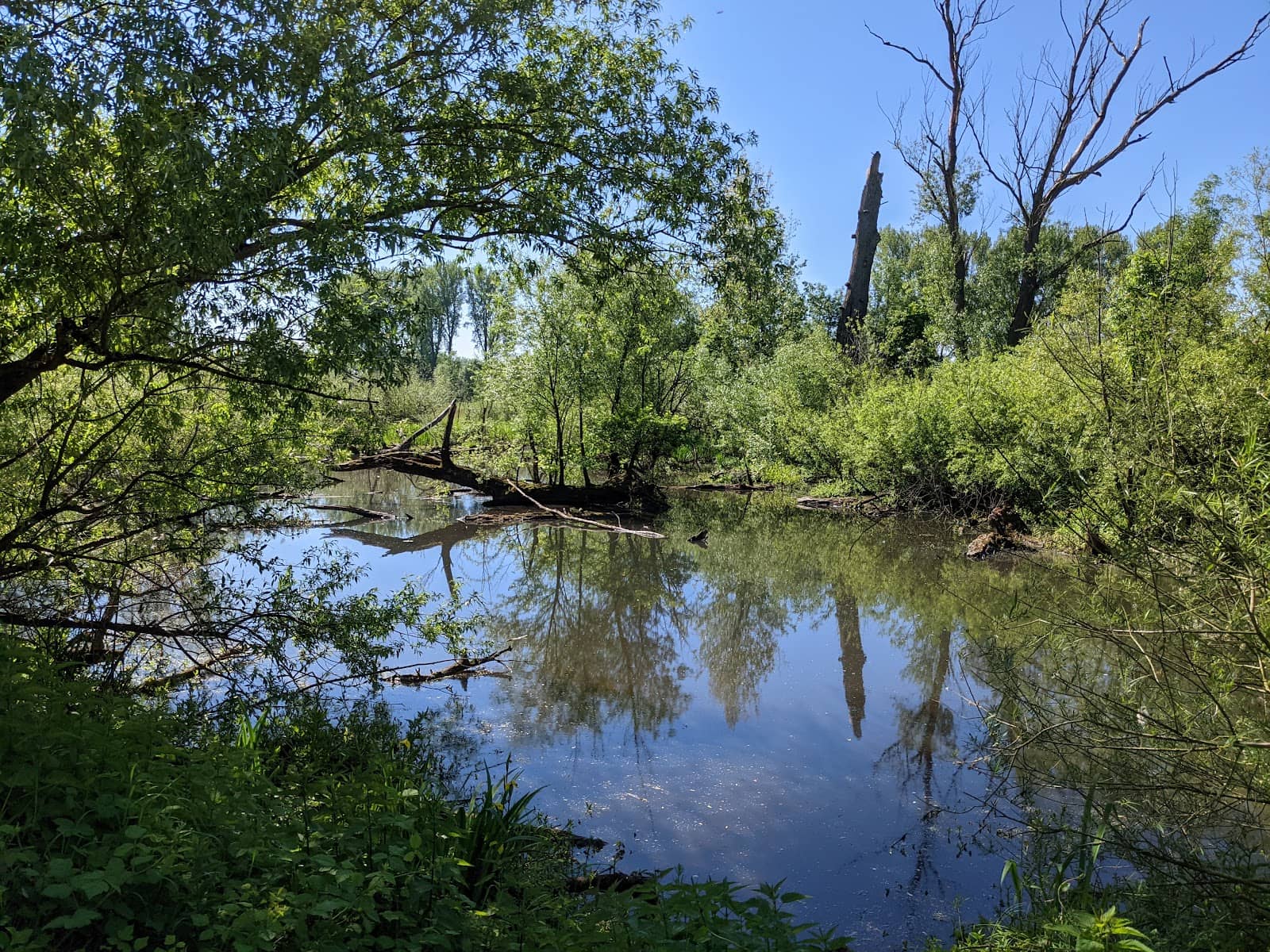 Haus Bürgel Biological Station