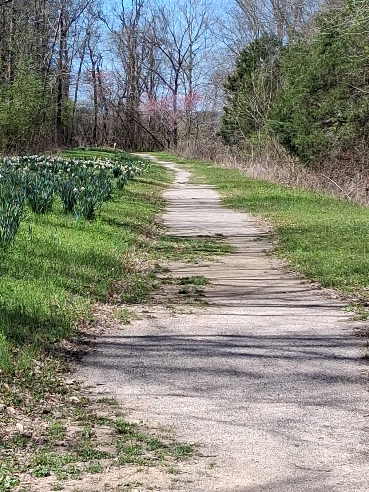 Music Bend Nature Trail - Image 1