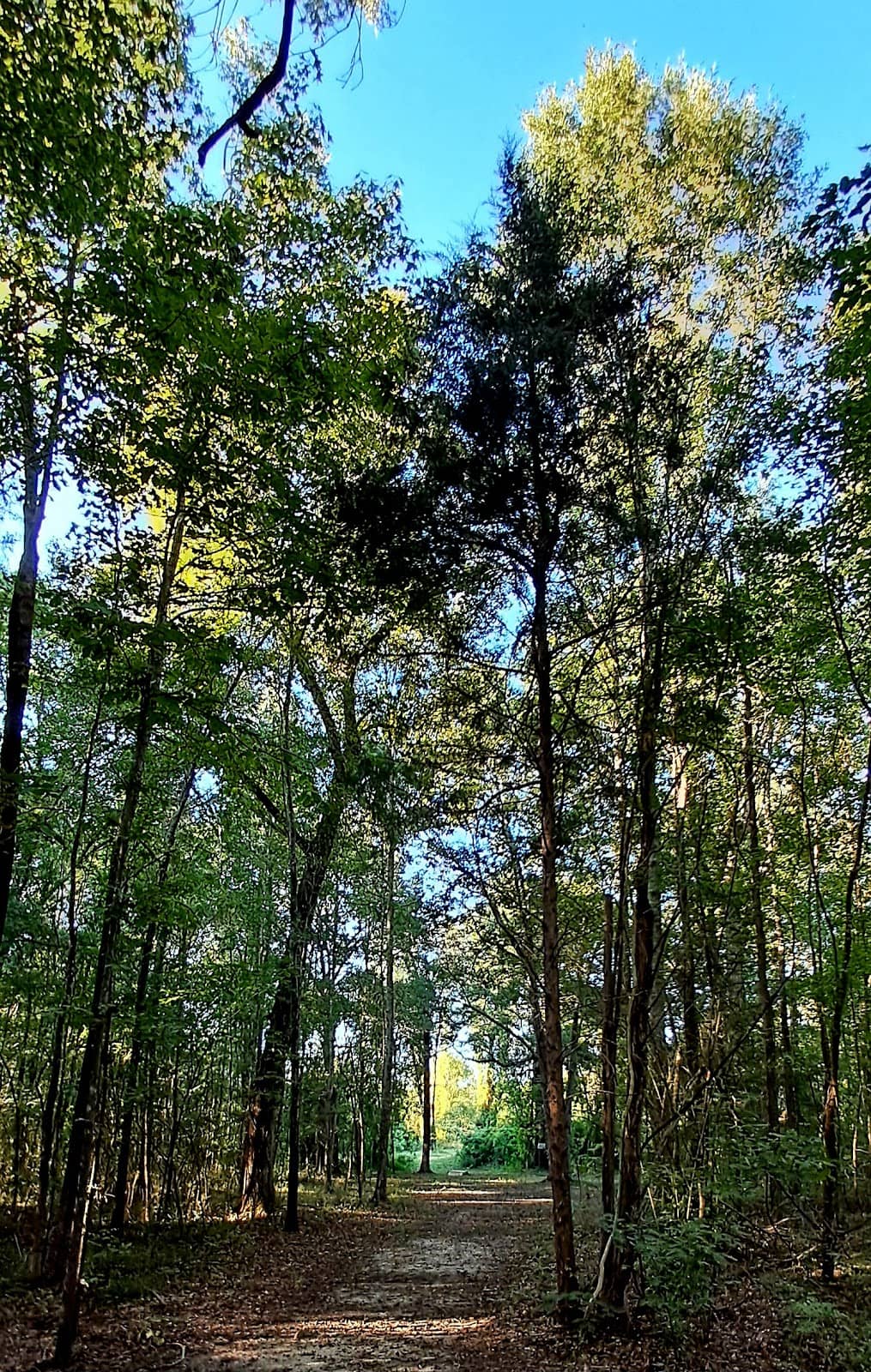 Vertical photo
