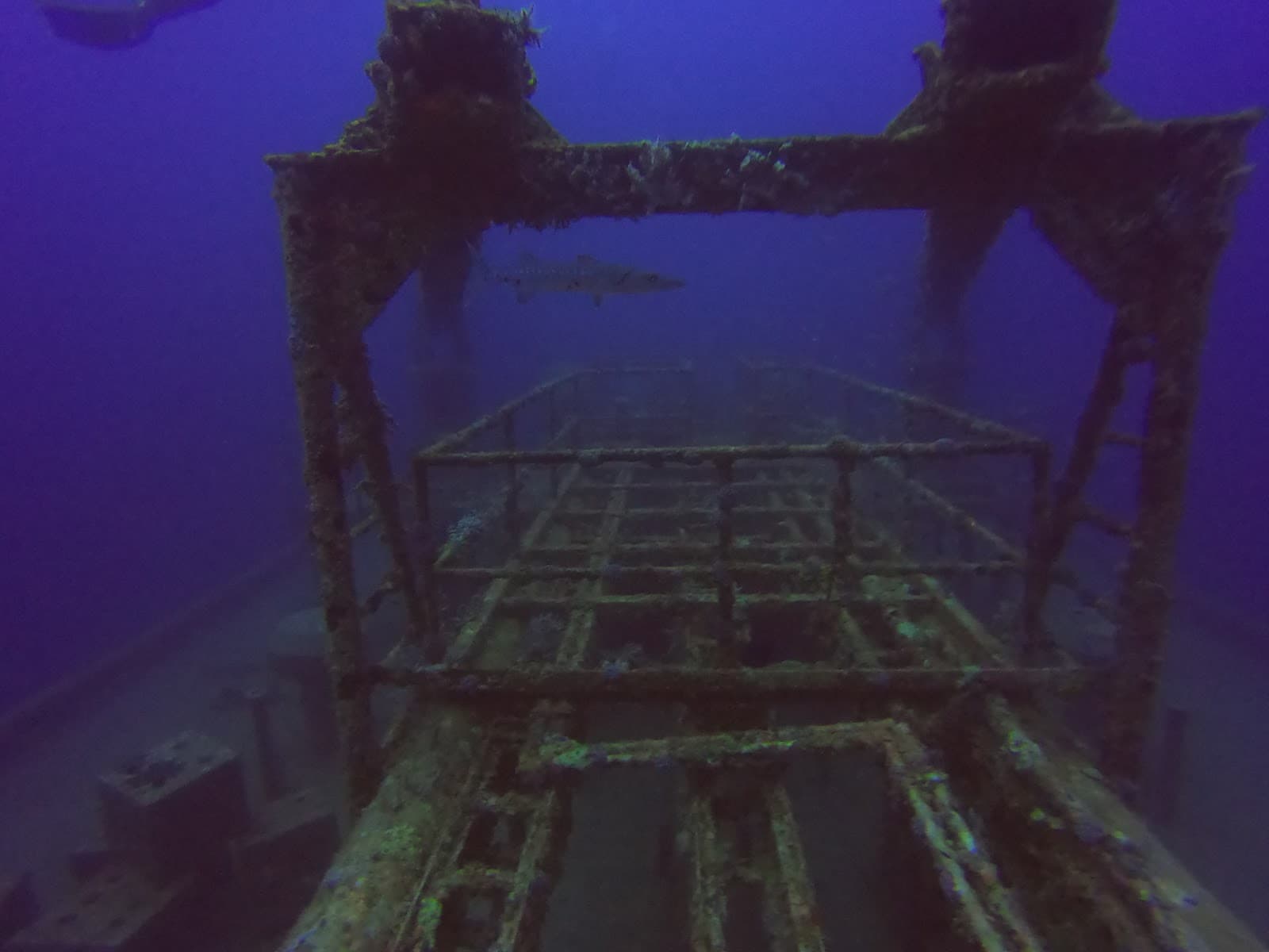 Shipwreck Park Pompano (Lady Luck) - Image 1