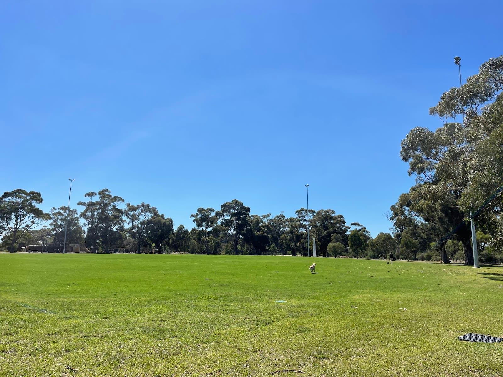 Burnley Park - Image 1