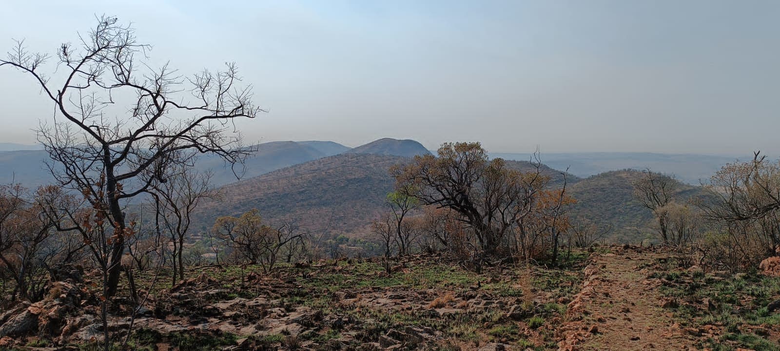 Mule Trail Hikes - Image 1