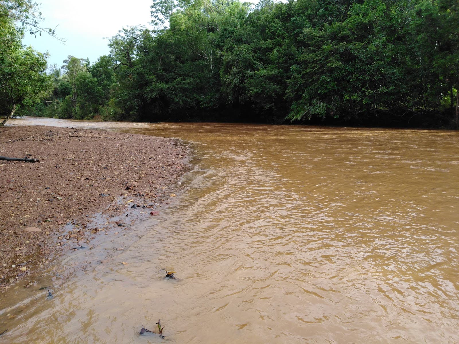 Aghanashini Estuary - Image 1