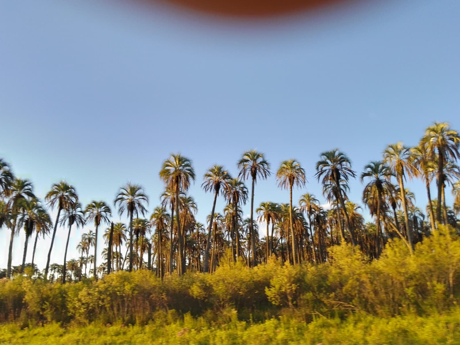 El Palmar National Park - Image 1