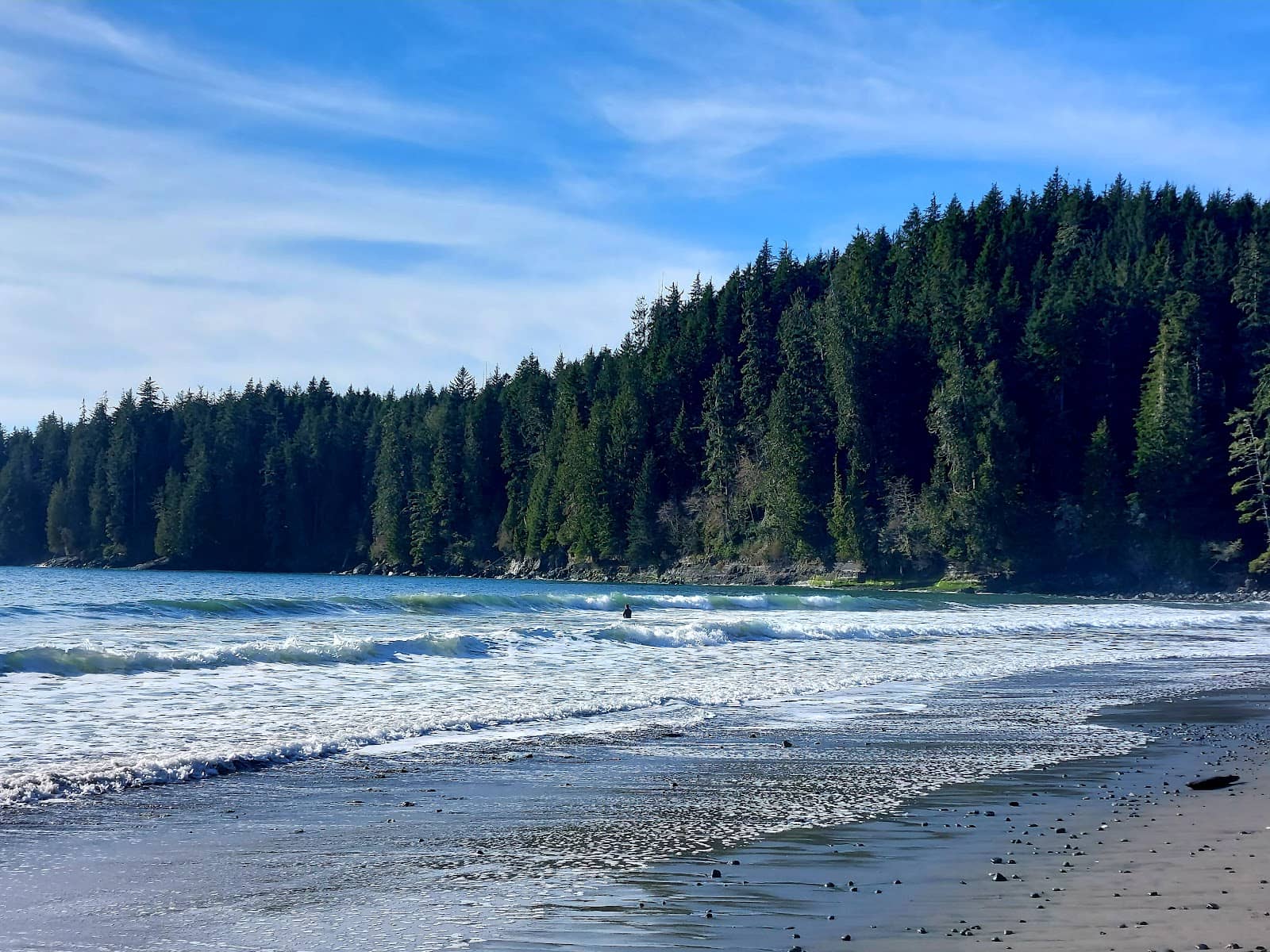 Coastal Views & Wildlife
