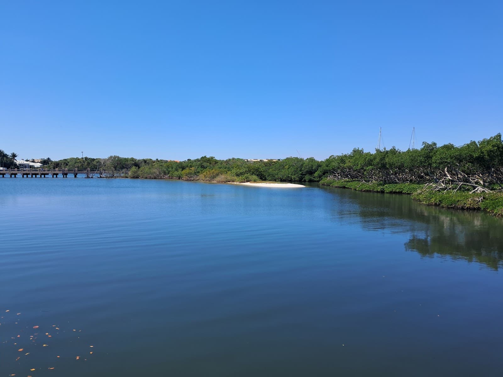 Loxahatchee River Wild and Scenic - Image 1