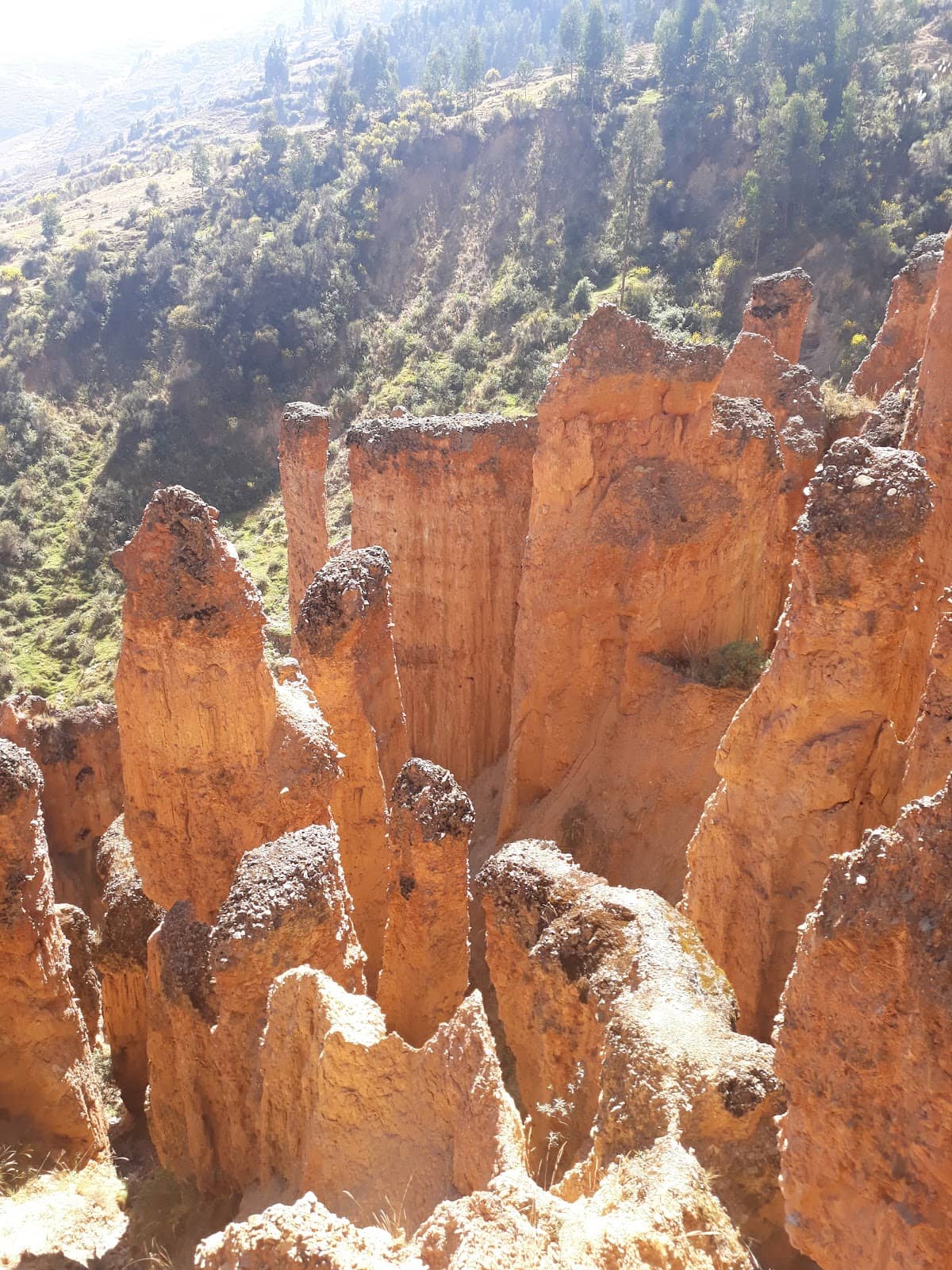 Vertical photo