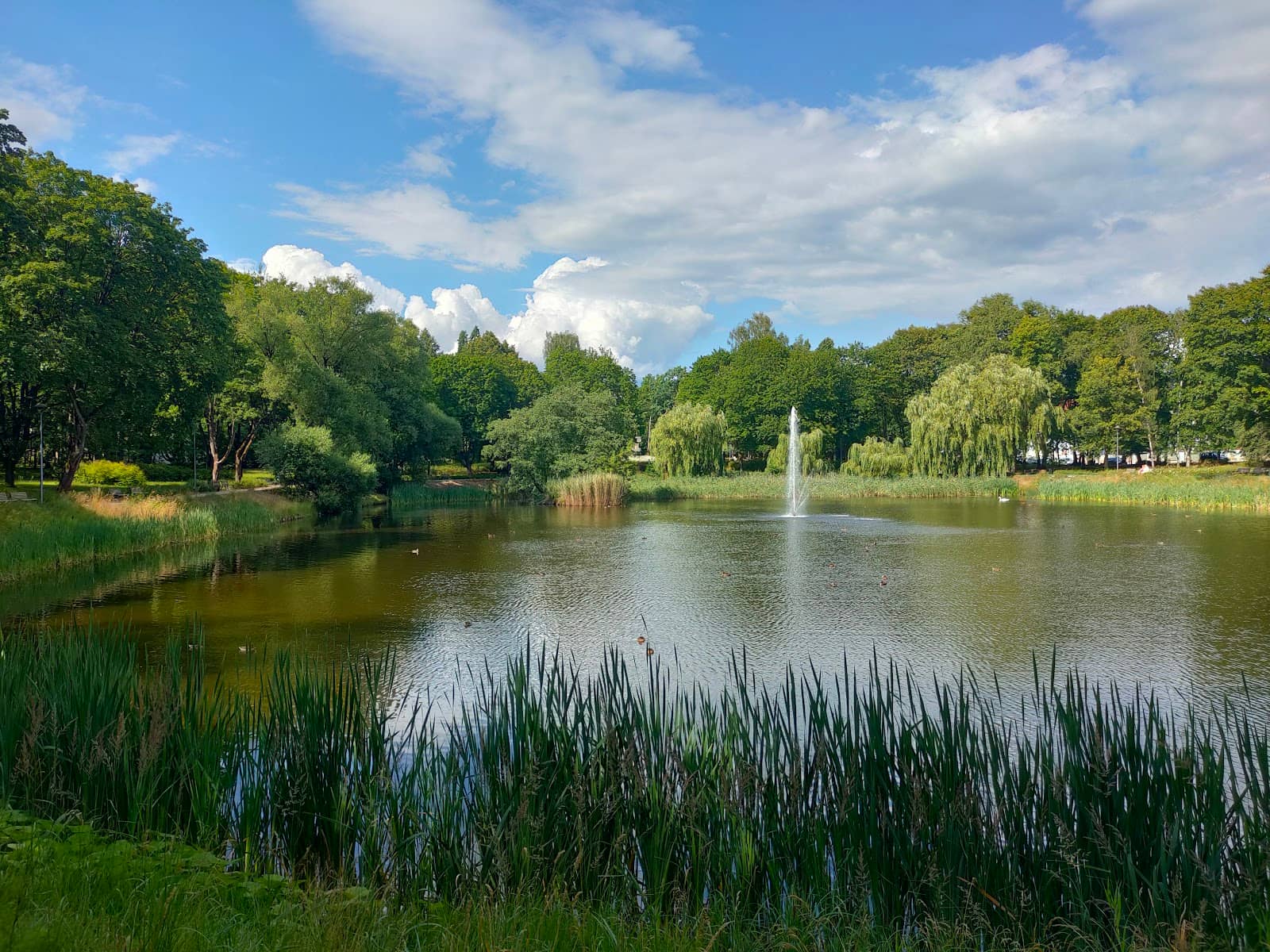 Birdwatching Opportunities