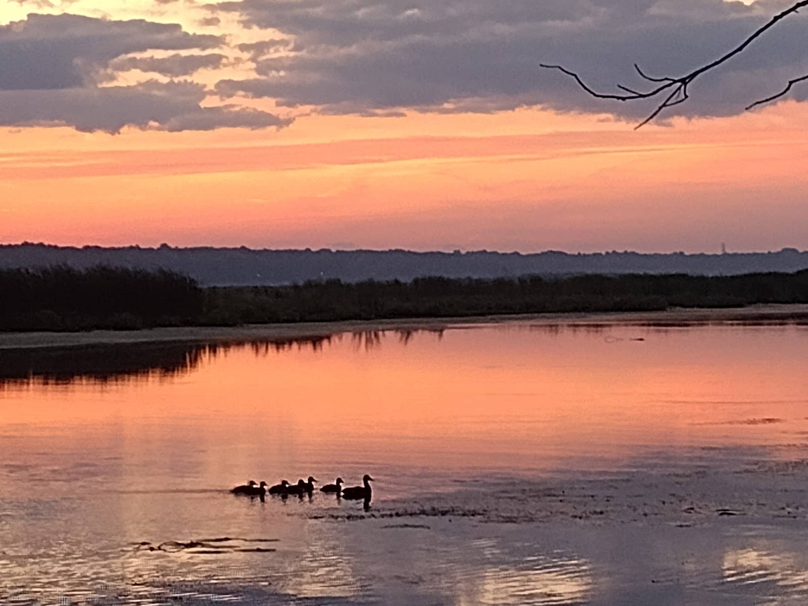 Nature Exploration Zone