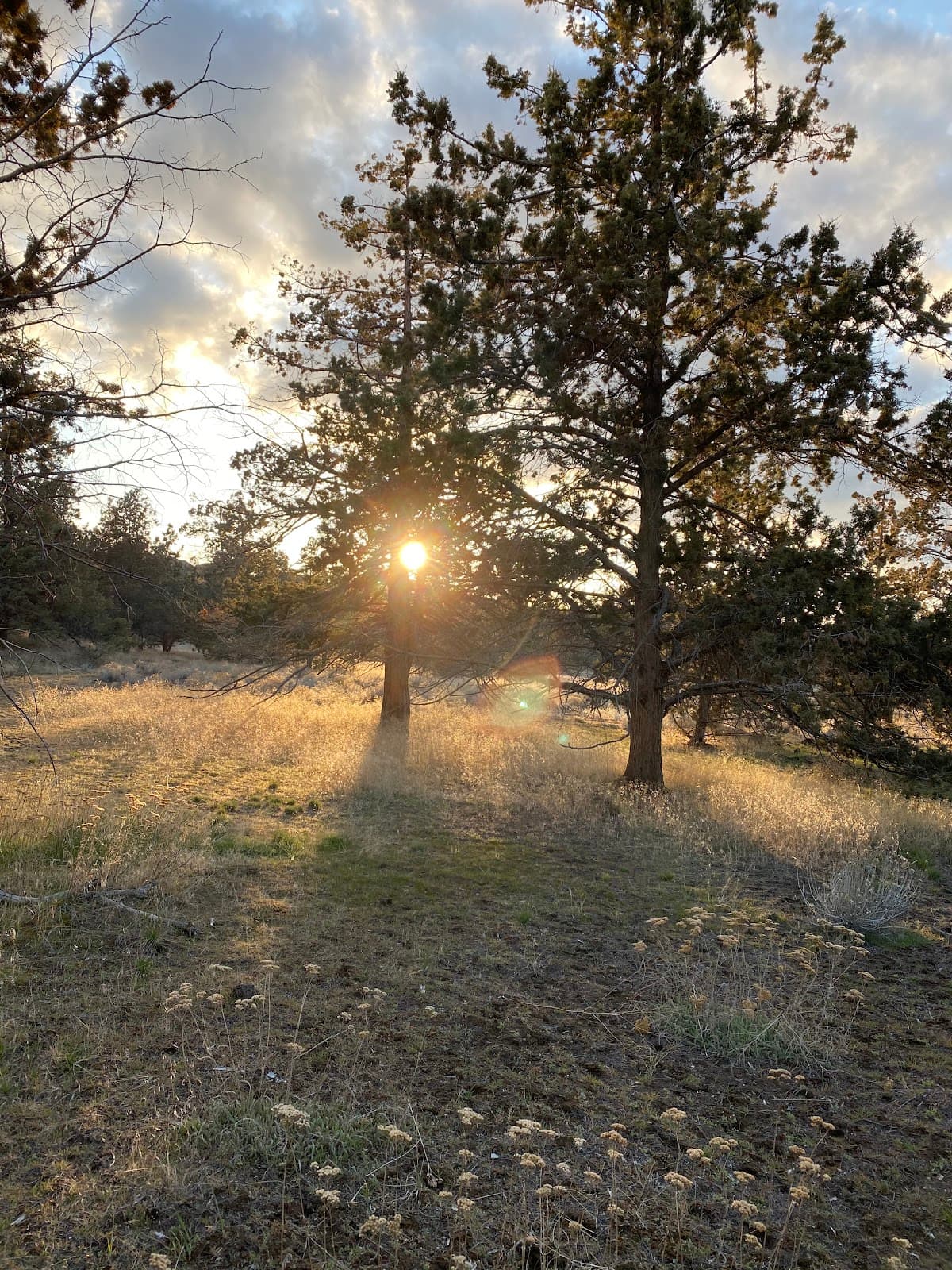 Dry Canyon Park & Trail - Image 1