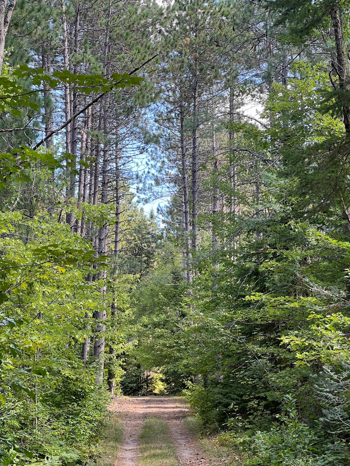 Canopy Tour Adventure