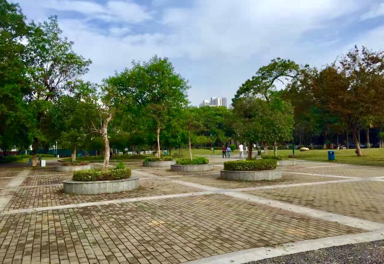 Hidden Campus Gems