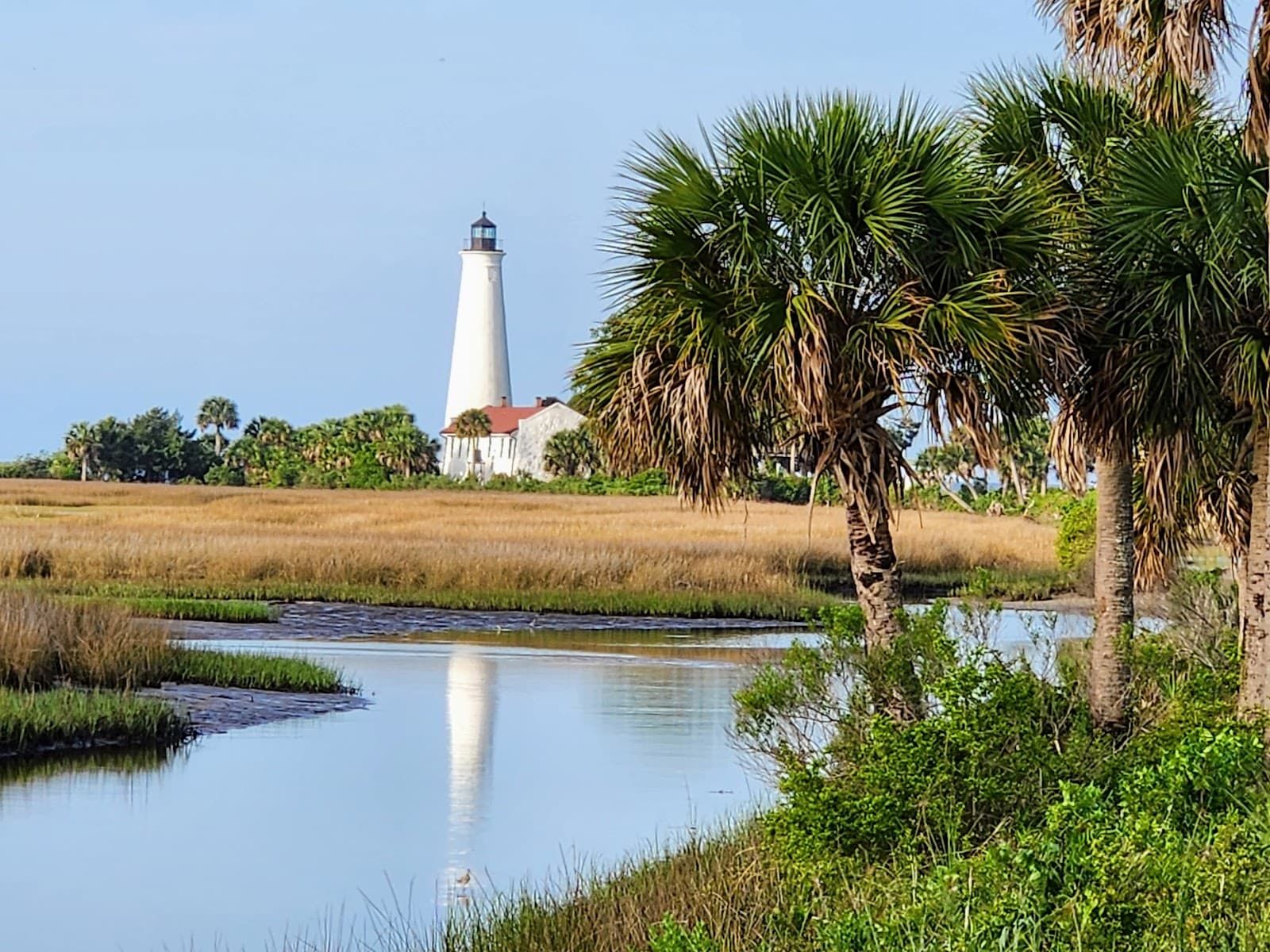 St. Marks National Wildlife Refuge - Image 1