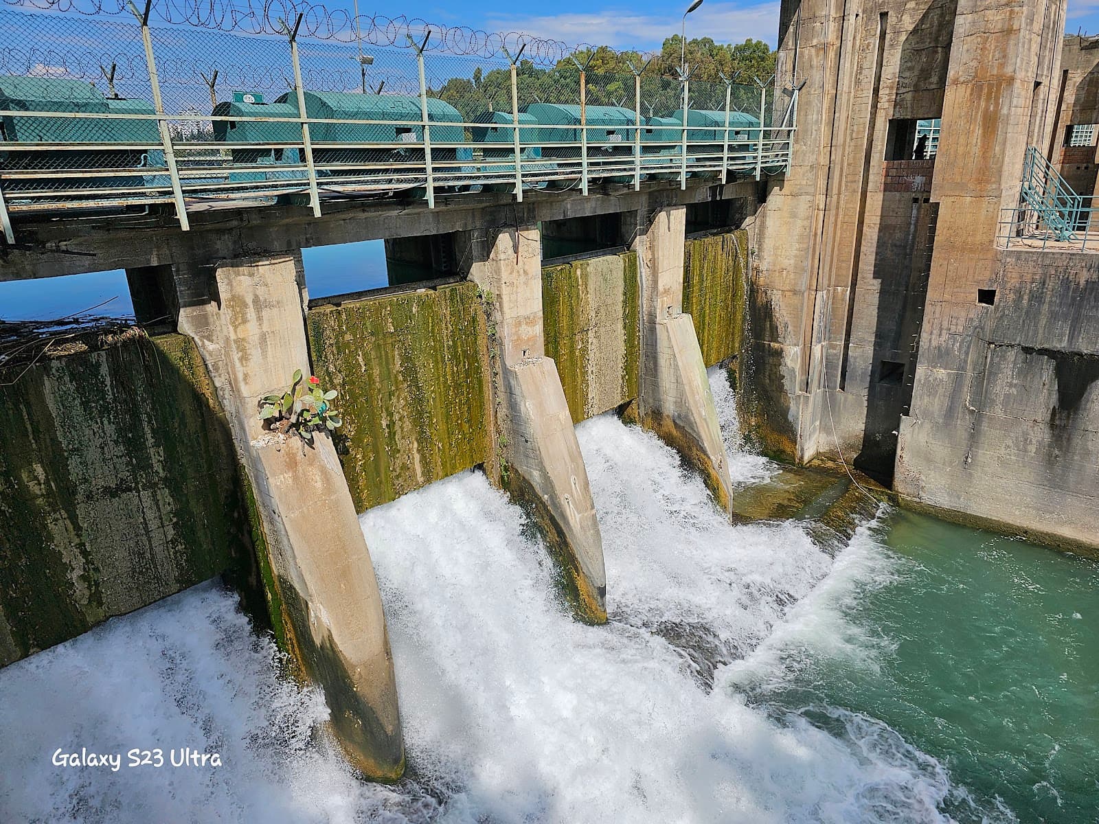 Regulator Bridge (Seyhan Regülatör Köprüsü) - Image 1