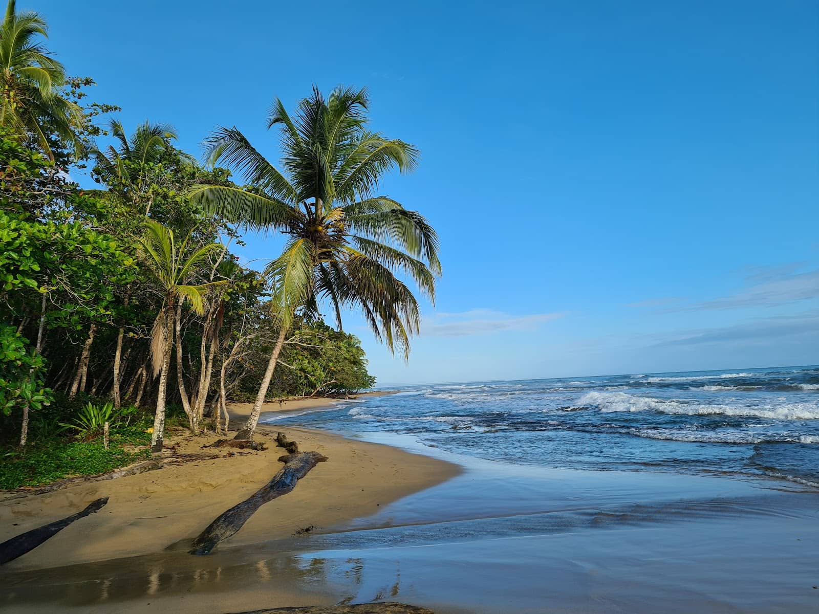 Secluded Jungle Beach