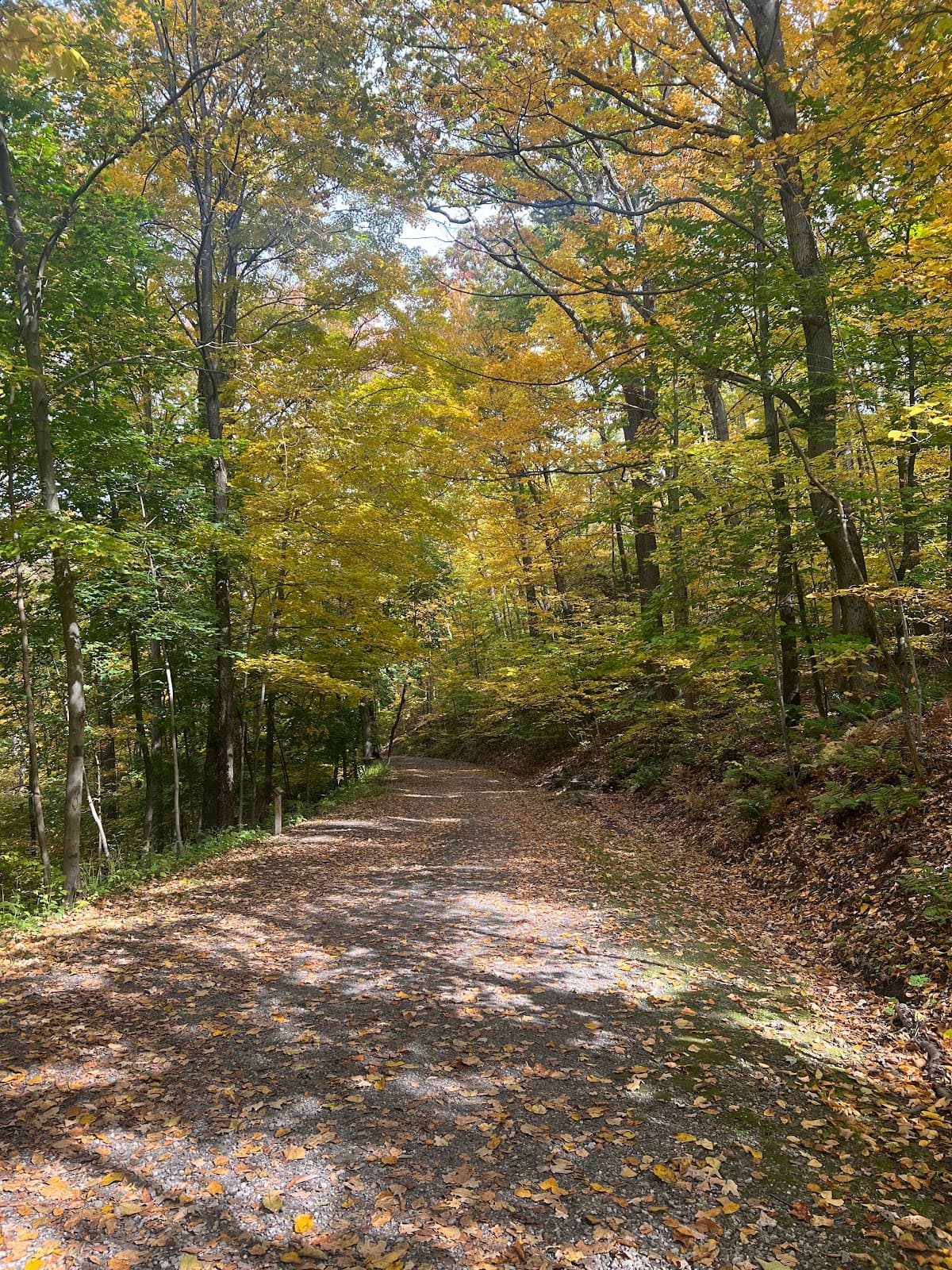 Stackhouse Park - Image 1