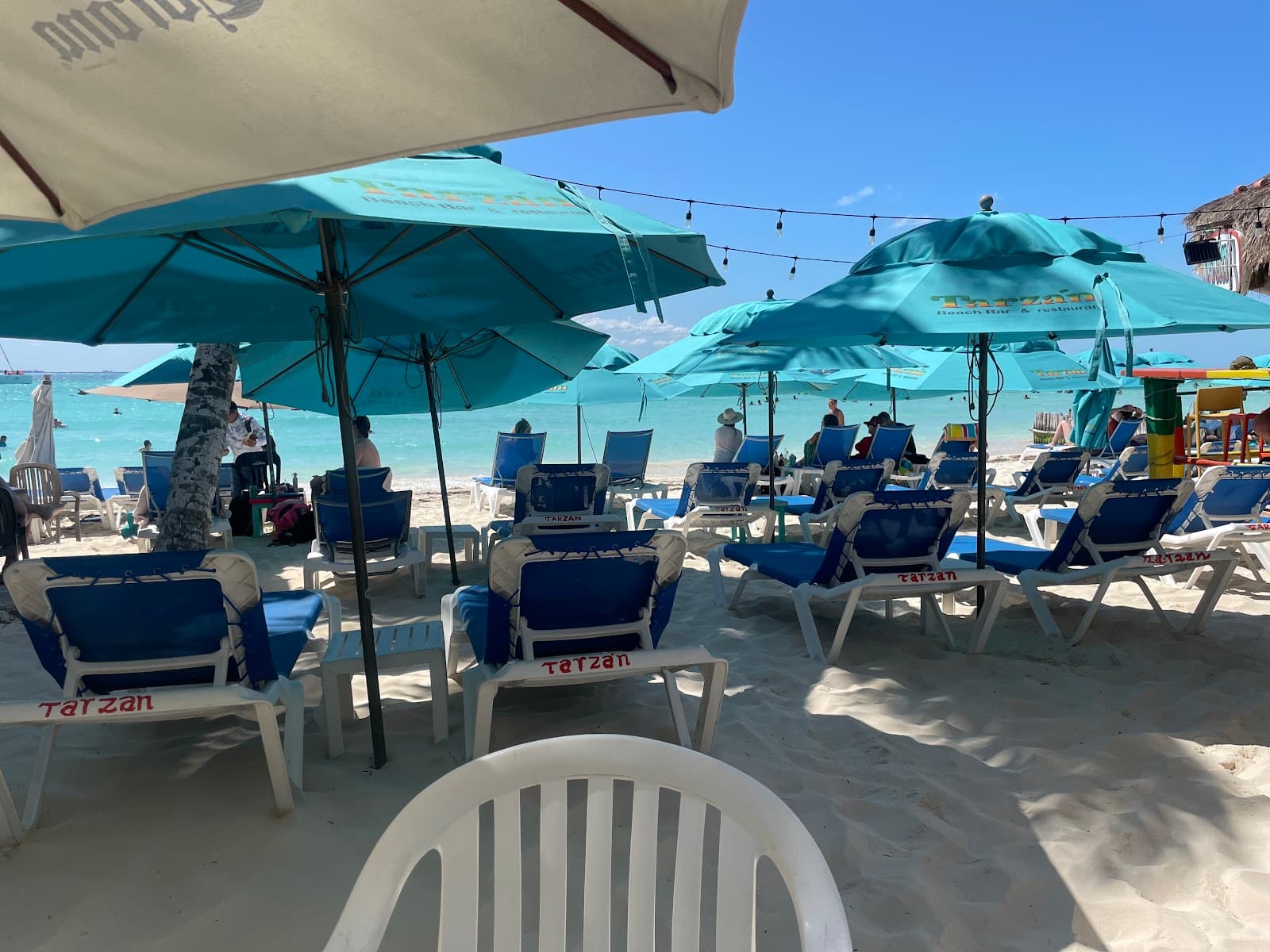 Tarzan's, Isla Mujeres - Image 1