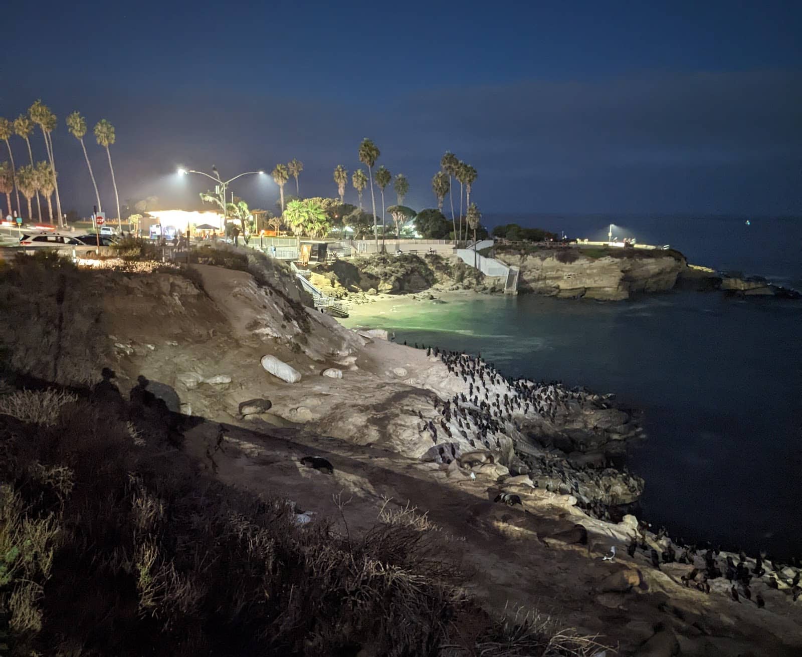 Kayaking and Snorkeling Adventures