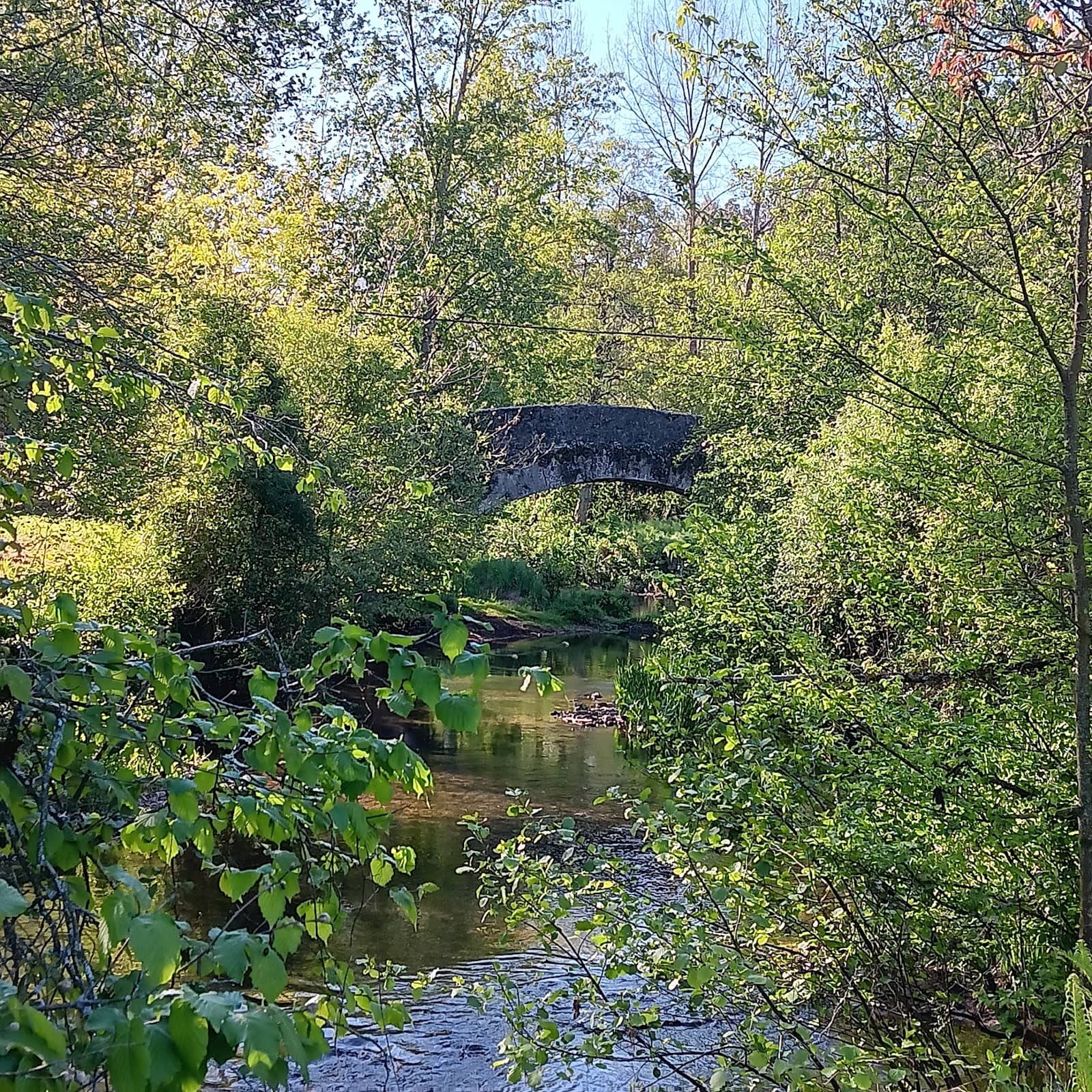 Linares River Crossing