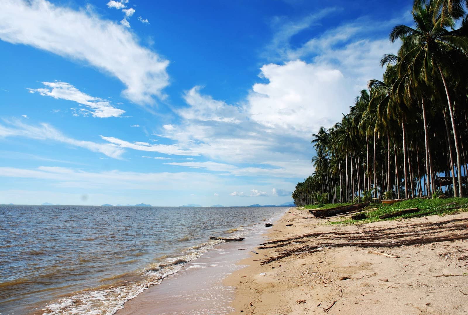 Local Culinary Experience