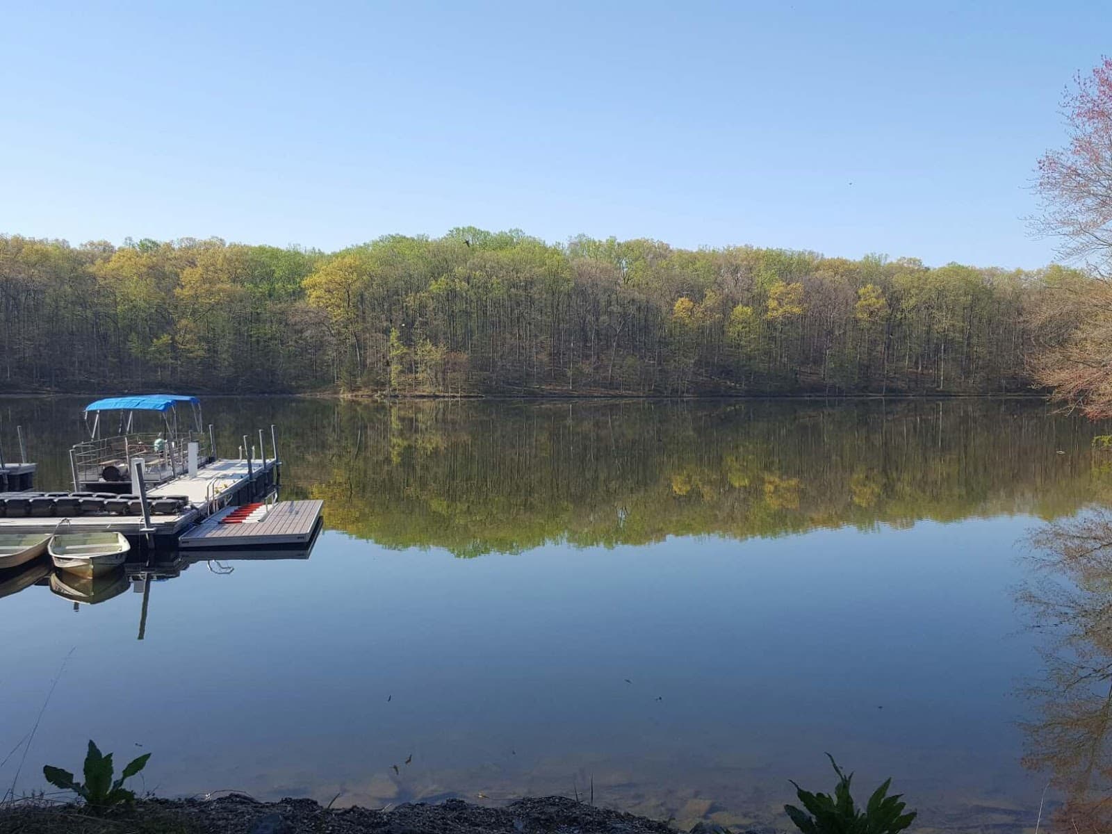 Seneca Creek State Park - Image 1