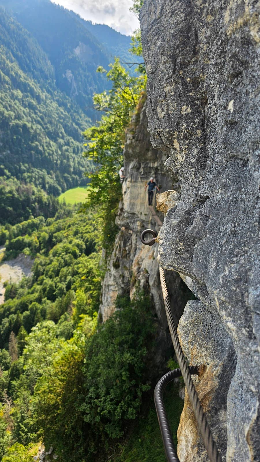 Vertical photo