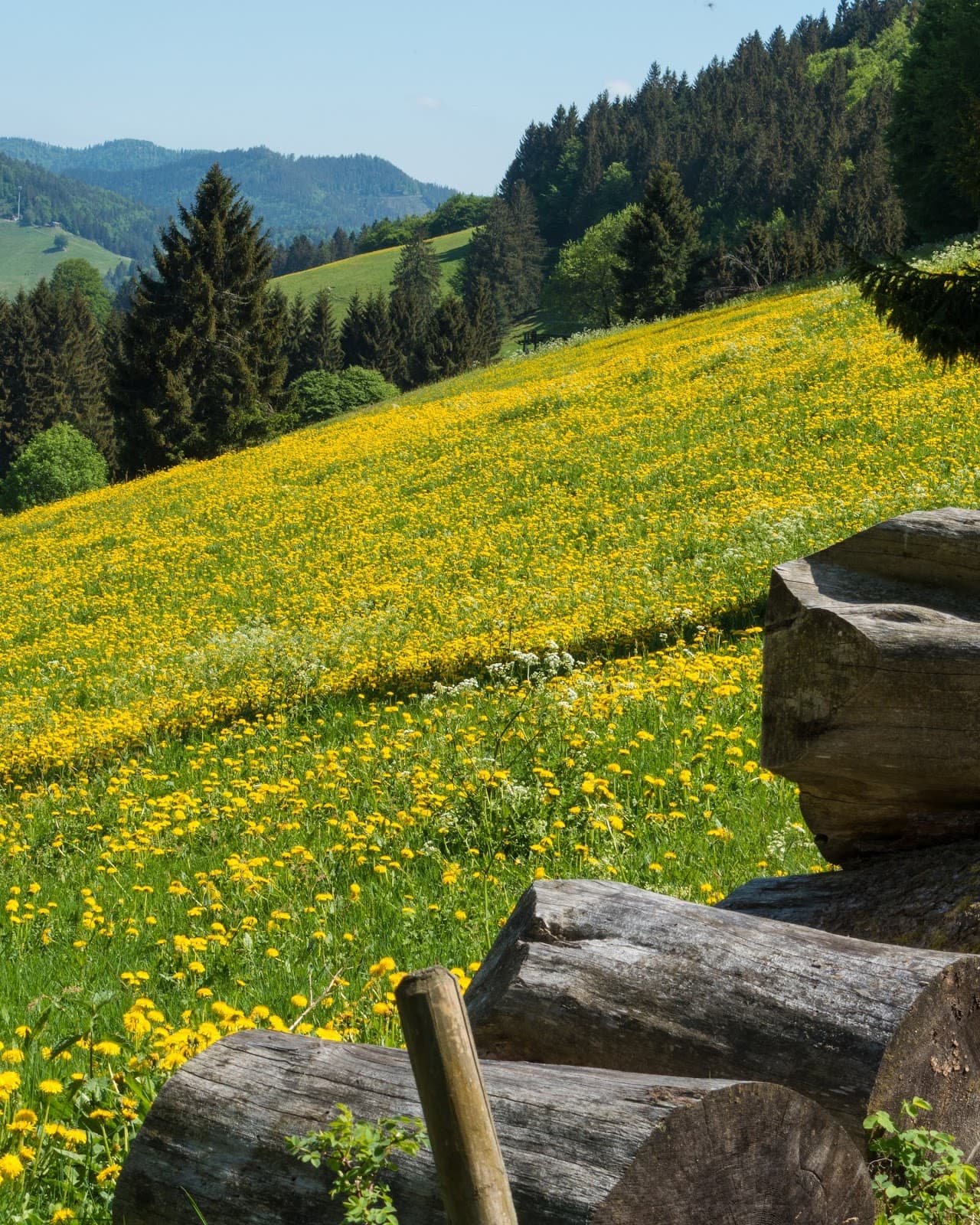 Muggenbrunn - Image 1