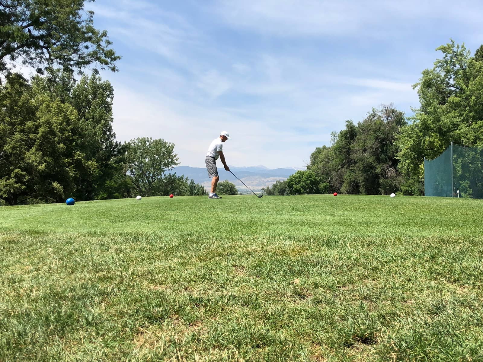Postage Stamp Greens
