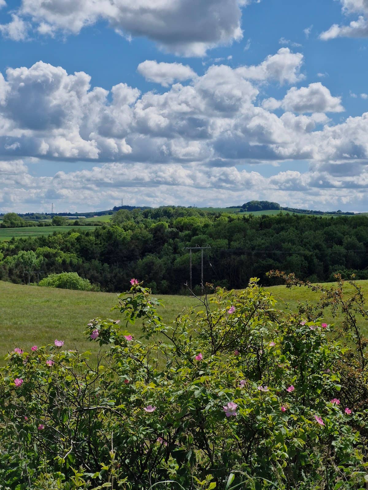 Flat, Accessible Path