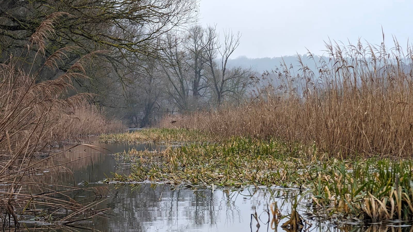 Birdwatching Paradise