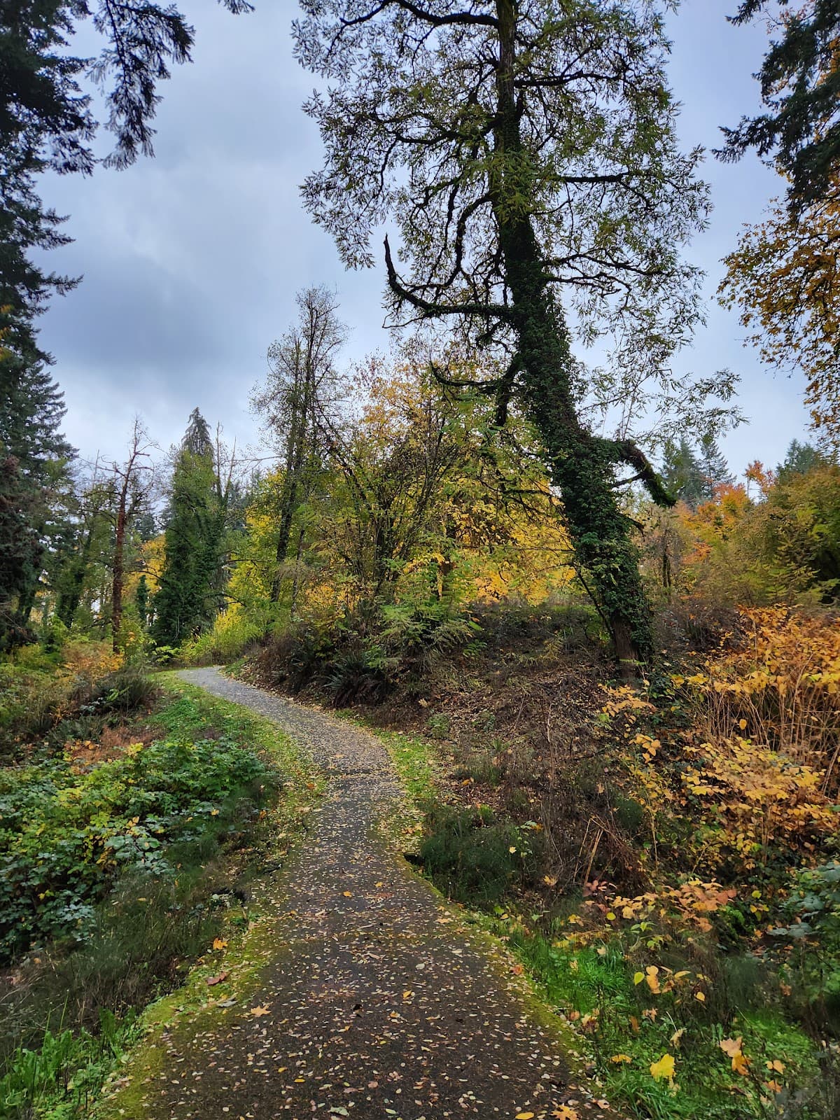 Singer Creek Park - Image 1