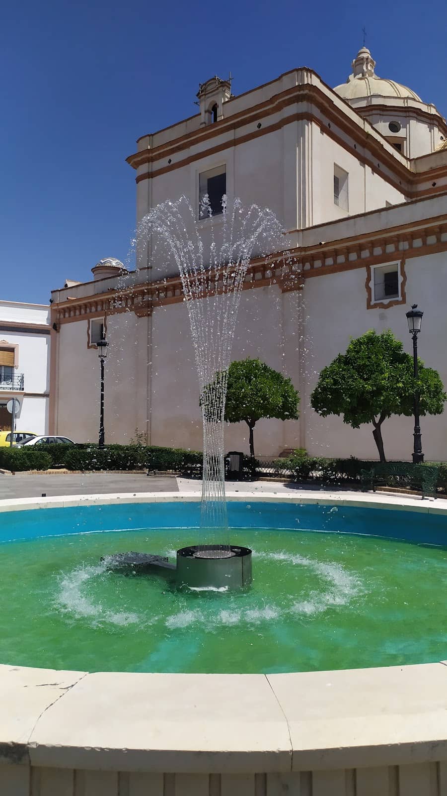 Vertical photo