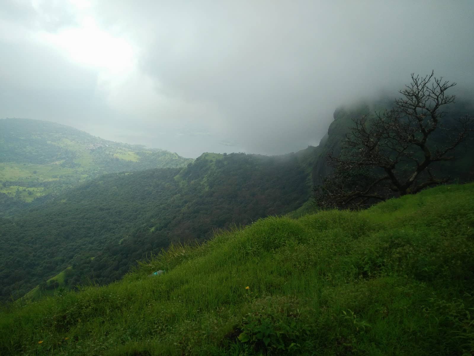 Vertical photo