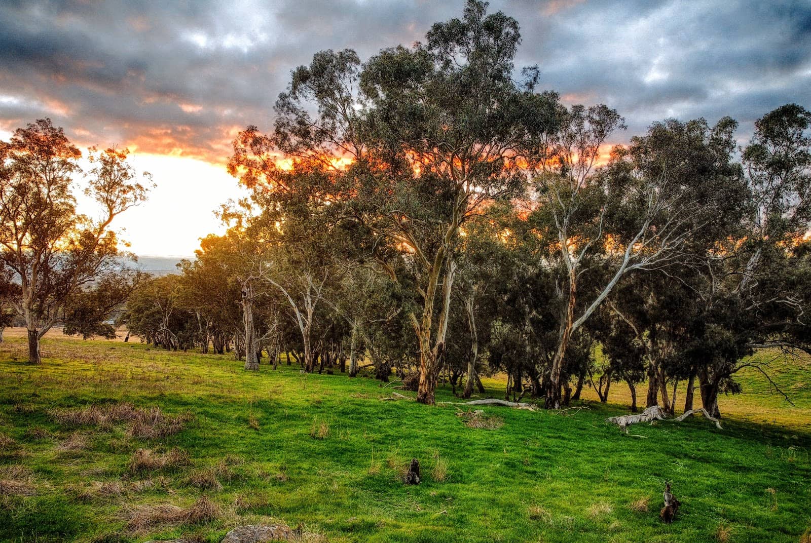 Agricultural Landscapes