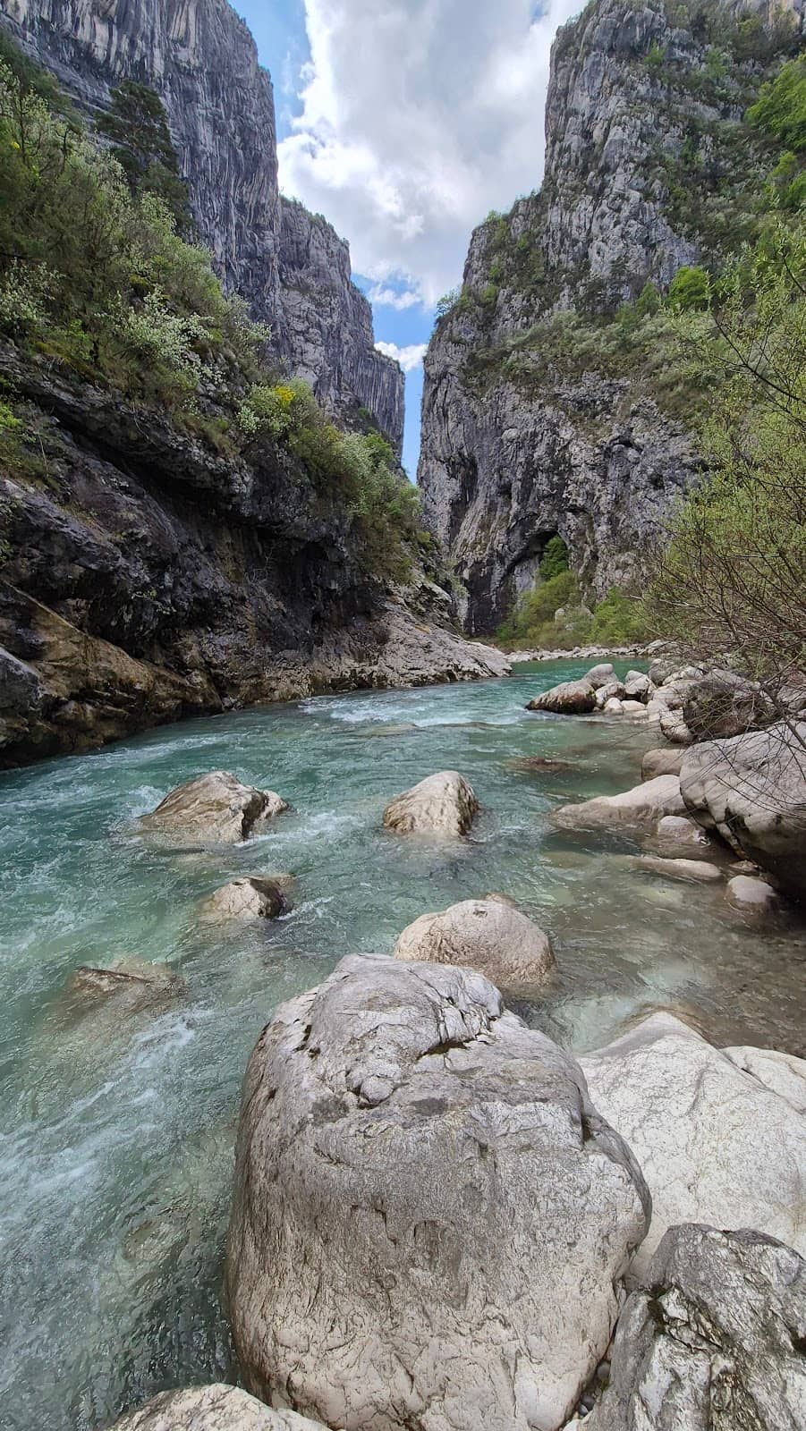 Vertical photo