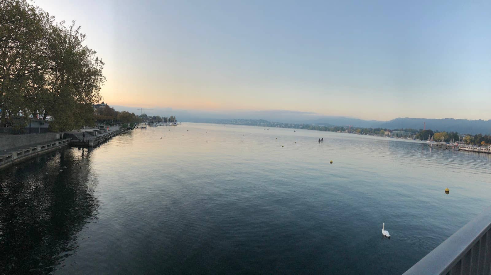 Diving Board Thrills