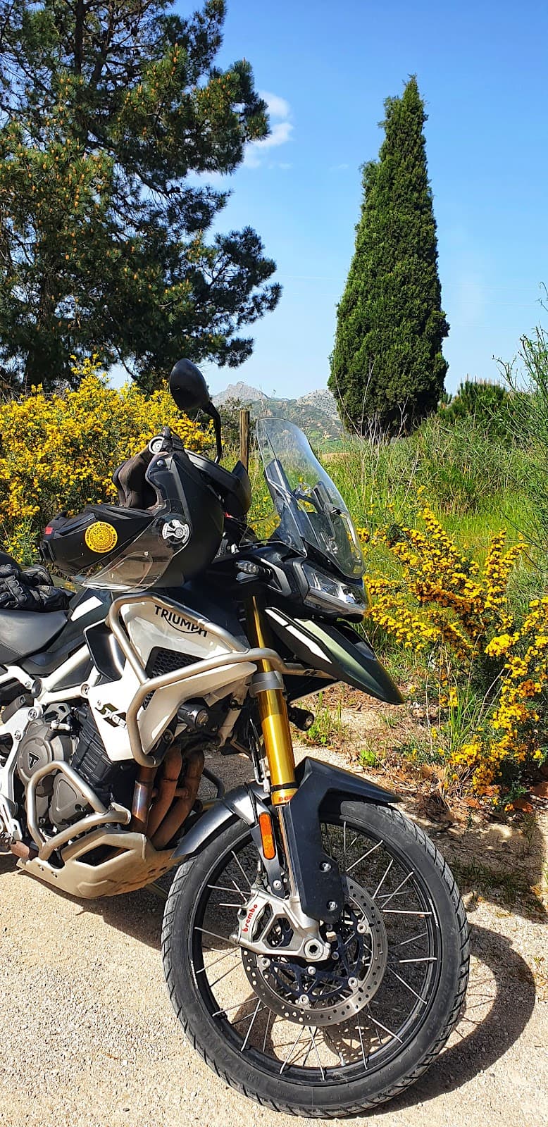 Dehesa del Mercadillo Park - Image 1