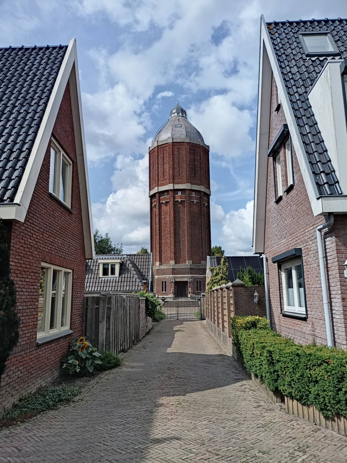 Vertical photo