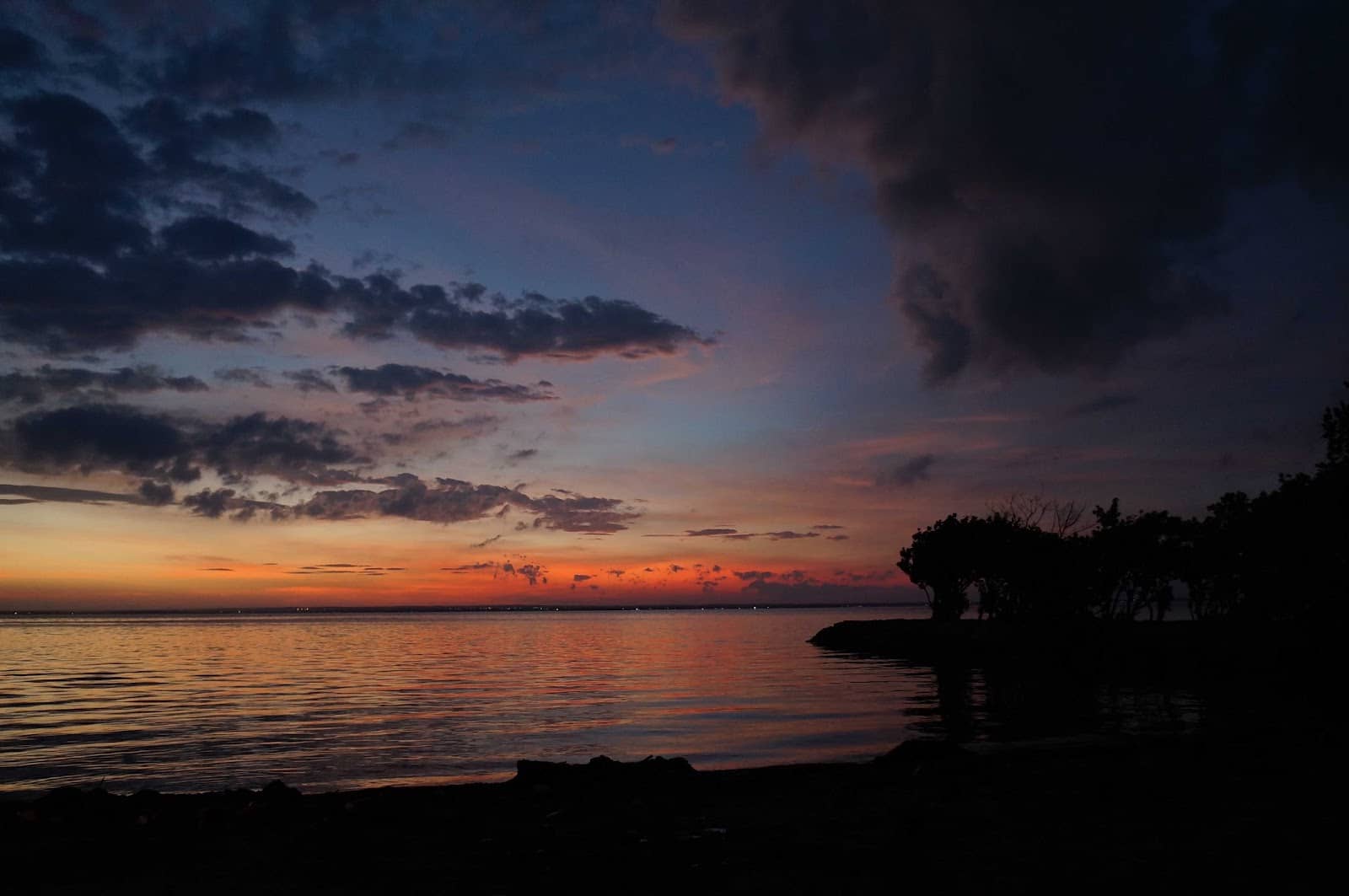 Nature Observation Spots