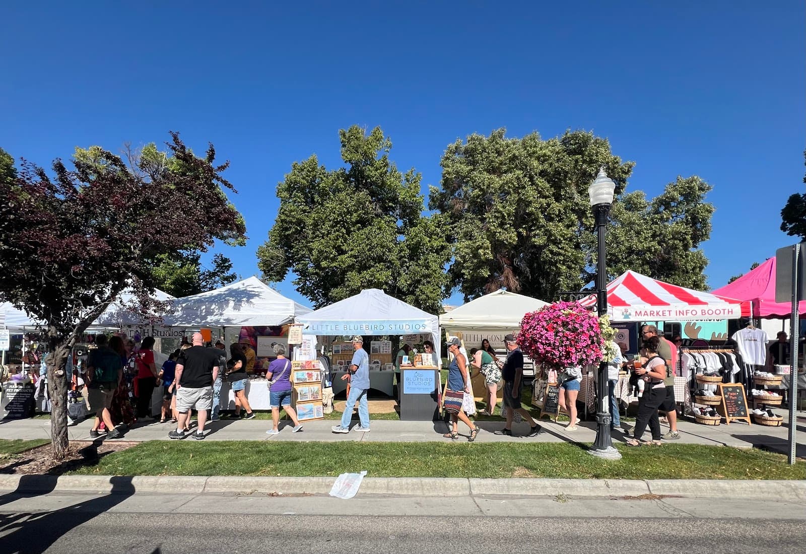 Idaho Falls Farmers Market - Image 1